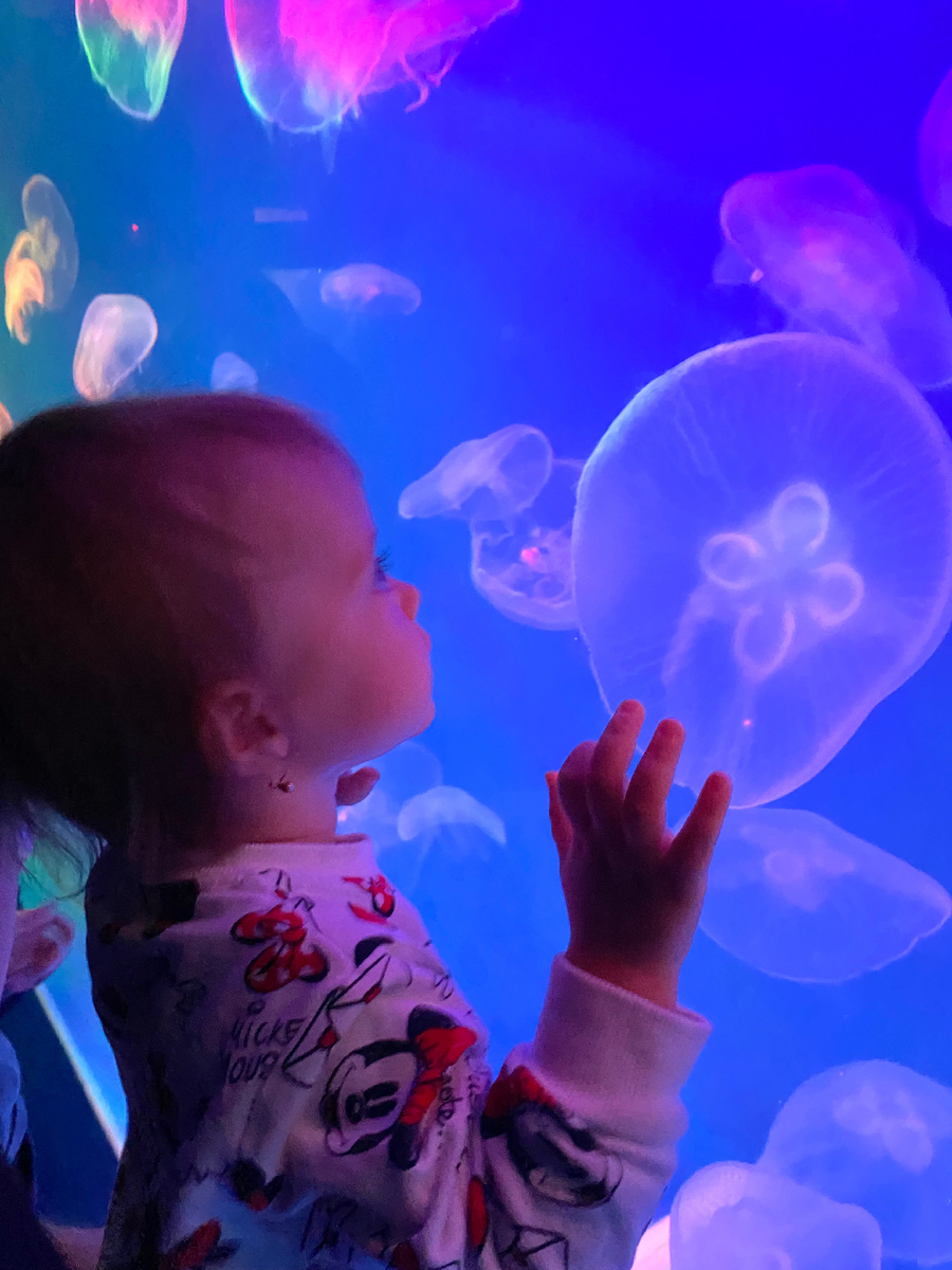 Вере в этот день полтора годика исполнилось 🎊