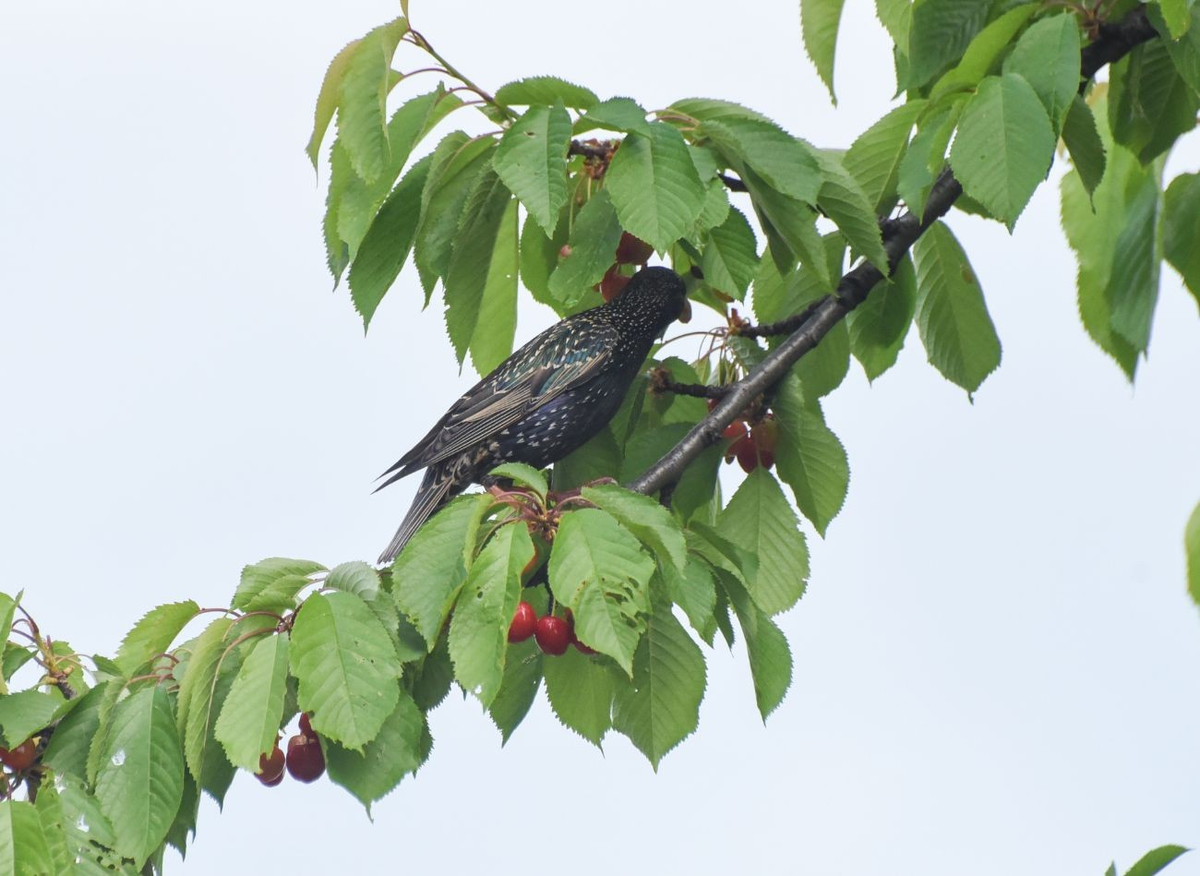 Фото из личного архива