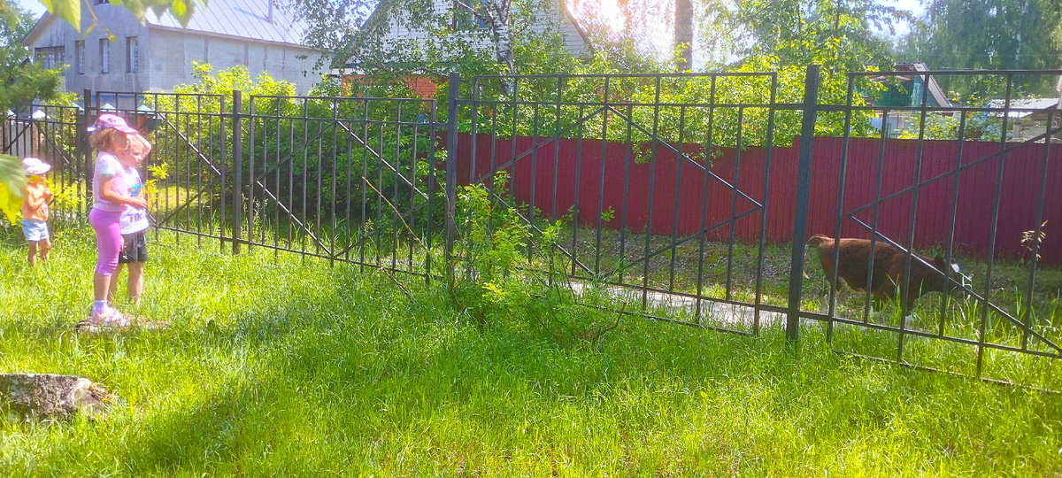 Познакомились с мальчиком Мишей и вместе с ним смотрели коров за забором 😁