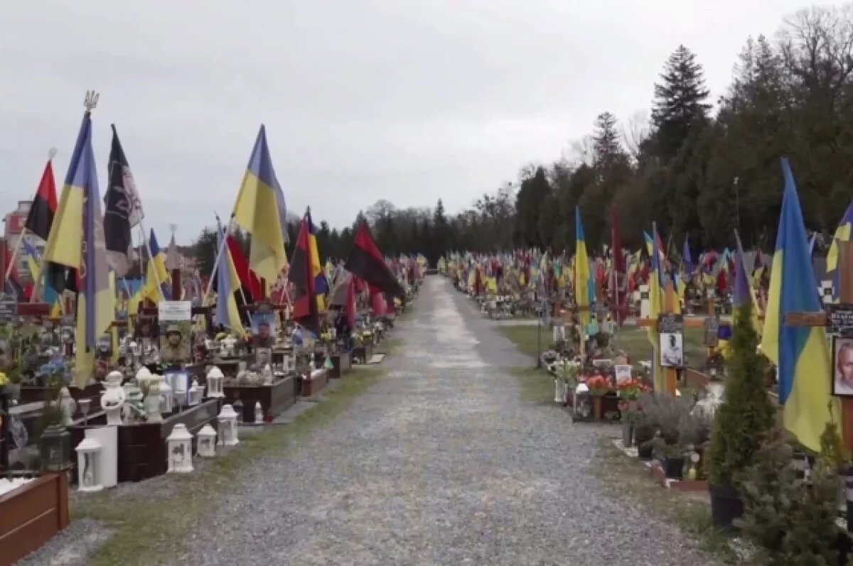    Рогов: боевики, тела которых не забирает Зеленский, погибли в 2025 году