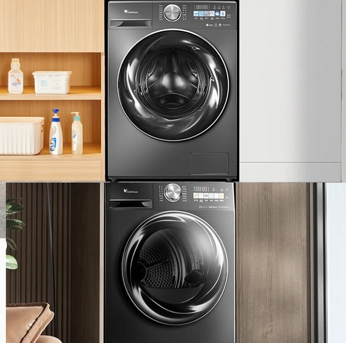 Фото Little Swan  📷
