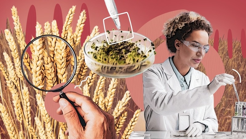      Фото: «Победа26»