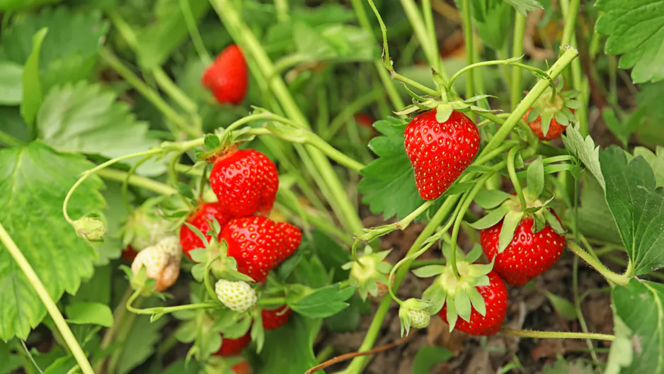 Фото из личного архива