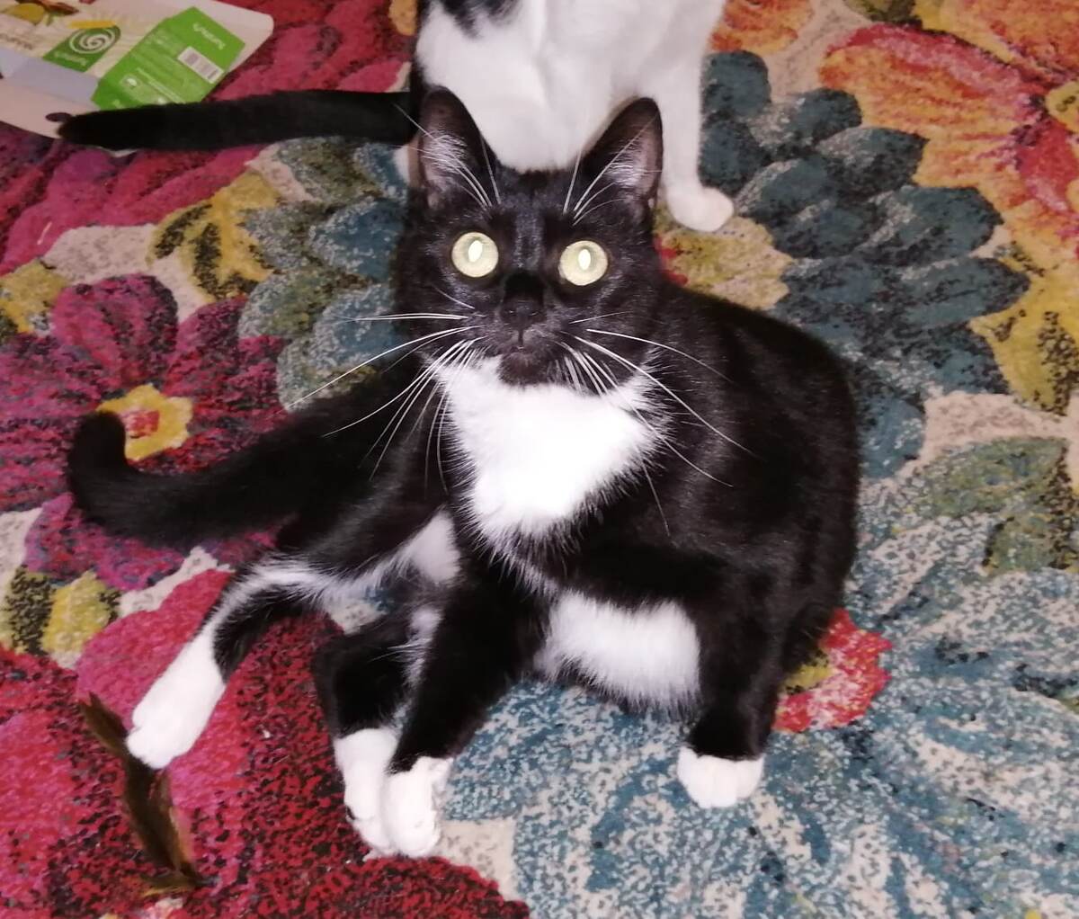 Черно-белая, но, не то...