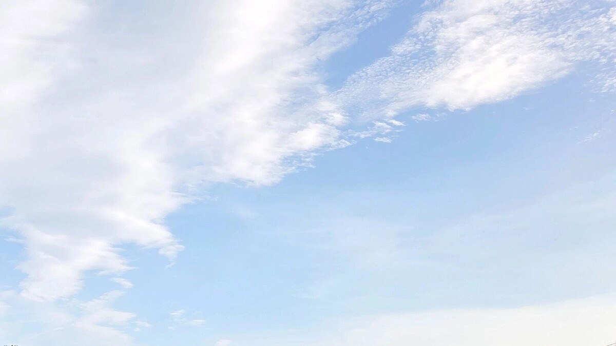     Автор: KubanPress