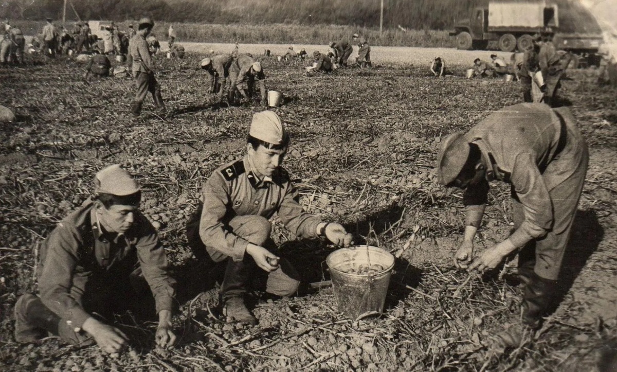 Армейская картошка.