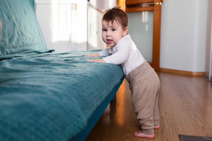 Фотобанк Лори