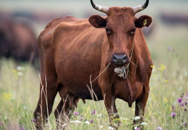 Фото заимствовала на Яндекс.картинки