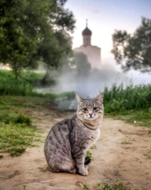 фото из общедоступных источников 