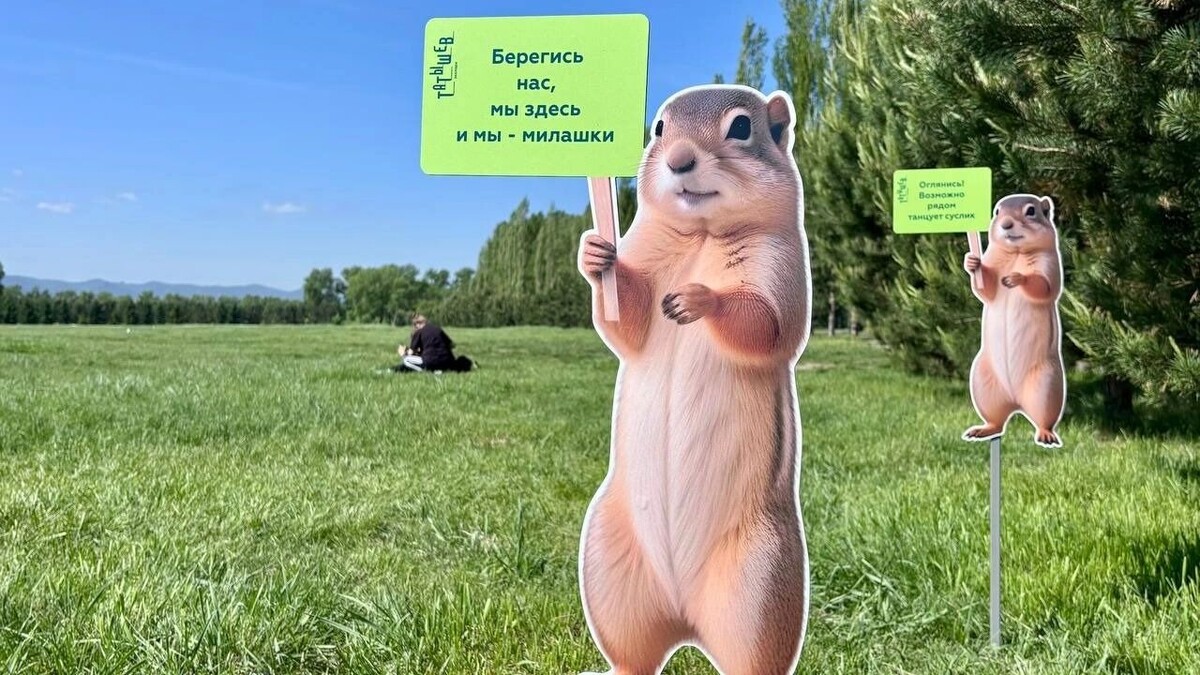     Источник: t.me/tatyshev_park