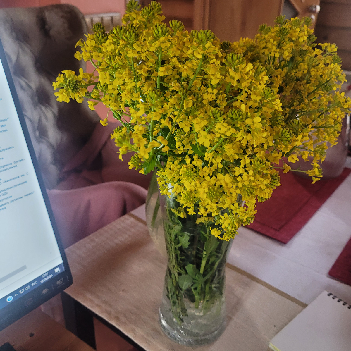 Сурепка обыкновенная Фото автора