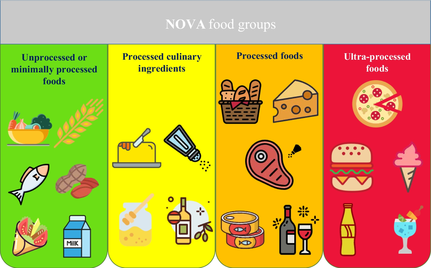 Прекрасная инфографика с сайта www.researchgate.net