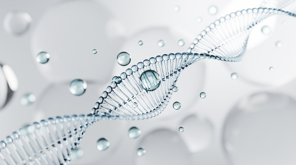    Почему наши клетки получают энергию только от мамы объясняет наука