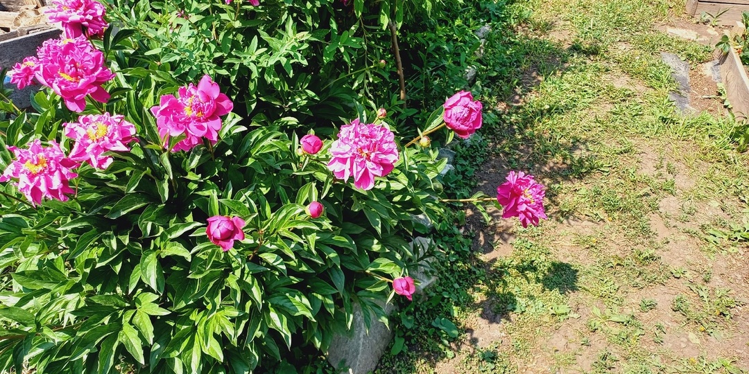 Расскажу о наших новостях