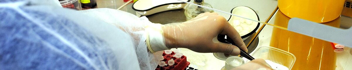    Фото: Сергей Егоров