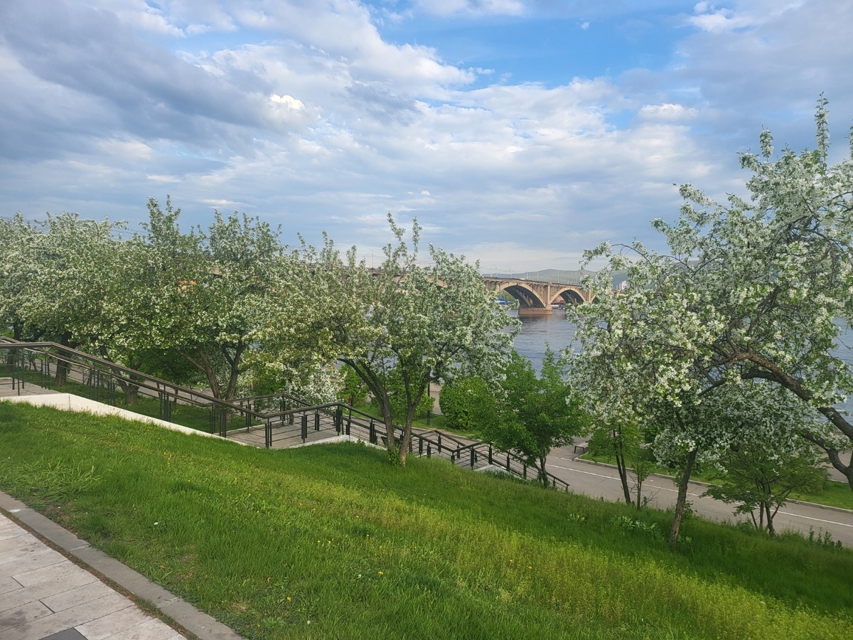 Набережная в центре Красноярска. Вдалеке - тот самый Коммунальный мост. Фото автора. 