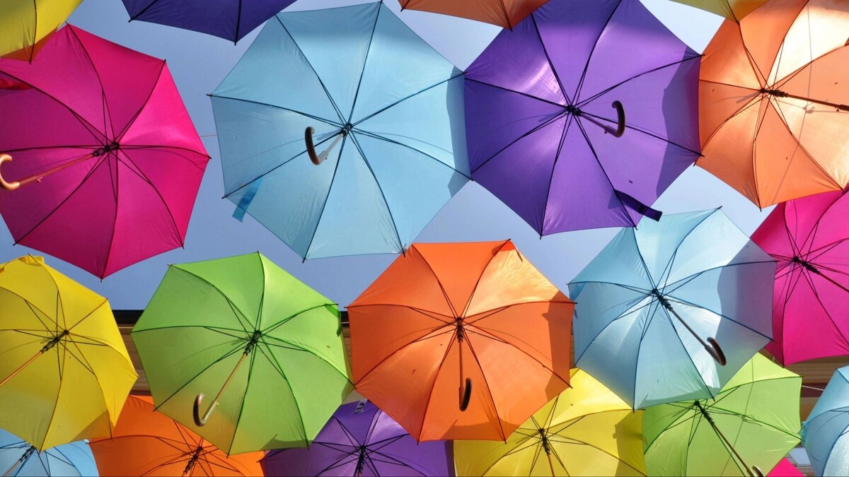    Фото: Joanna K-V / shutterstock.com / Fotodom