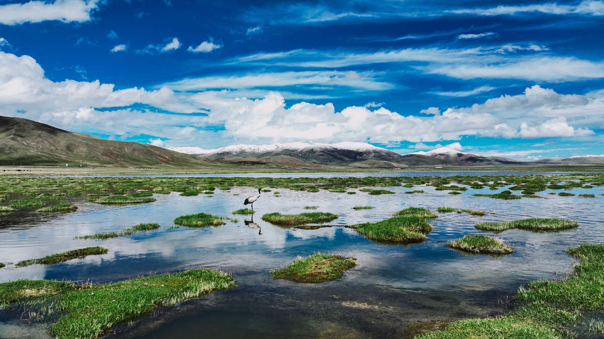 фото: Du Xiaowei/XinHua/Global Look Press