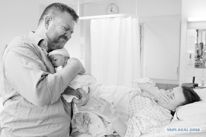 Картинка из интернета для иллюстрации