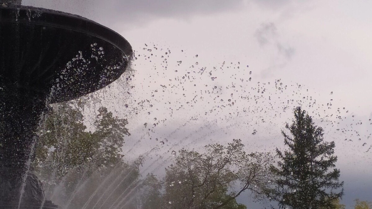     Источник: 1MI