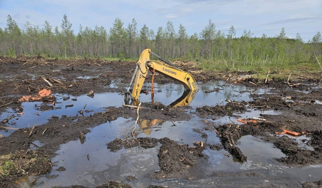    Фото: Тимофеев Live/ТГ Ульяна Бажанова