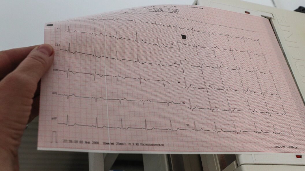    Фото: Bulkin Sergey/Globallookpress