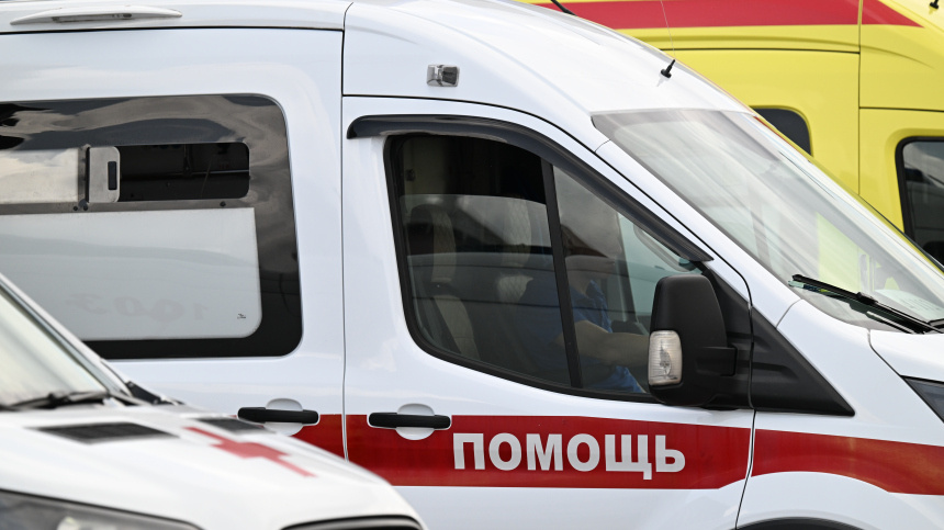    Фото: © РИА Новости/Пелагия Тихонова