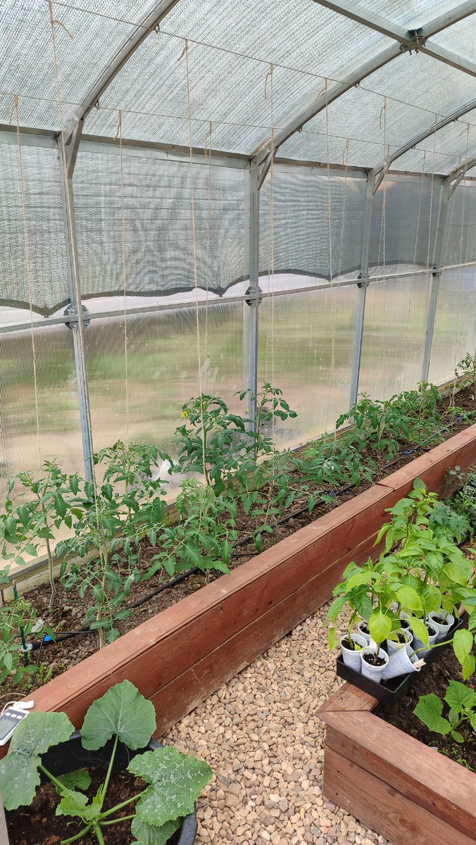 Петли для тросов крепятся на каждую дугу каркаса теплицы