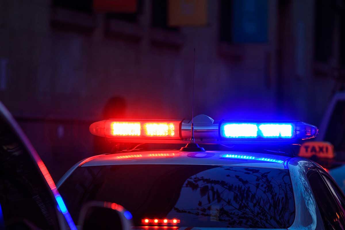    Фото: Daniel Tadevosyan / Shutterstock.com