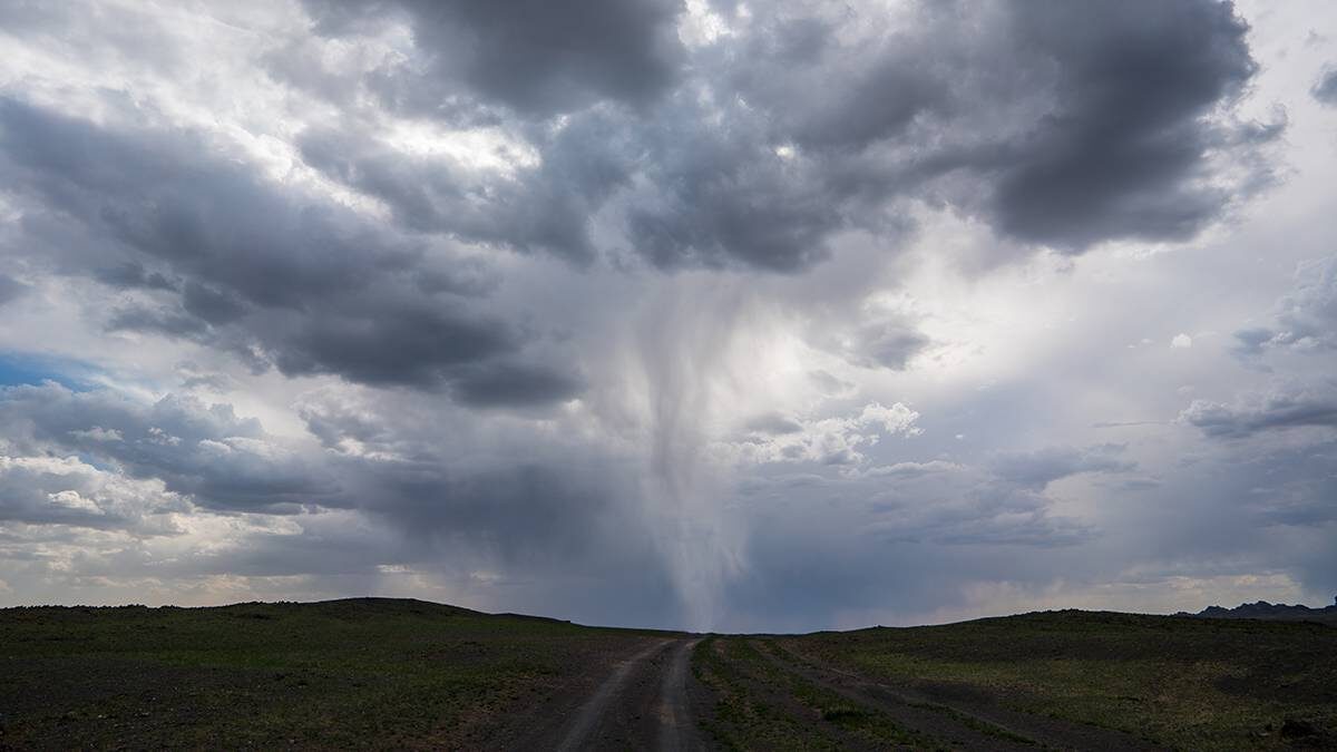    Фото: shutterstock