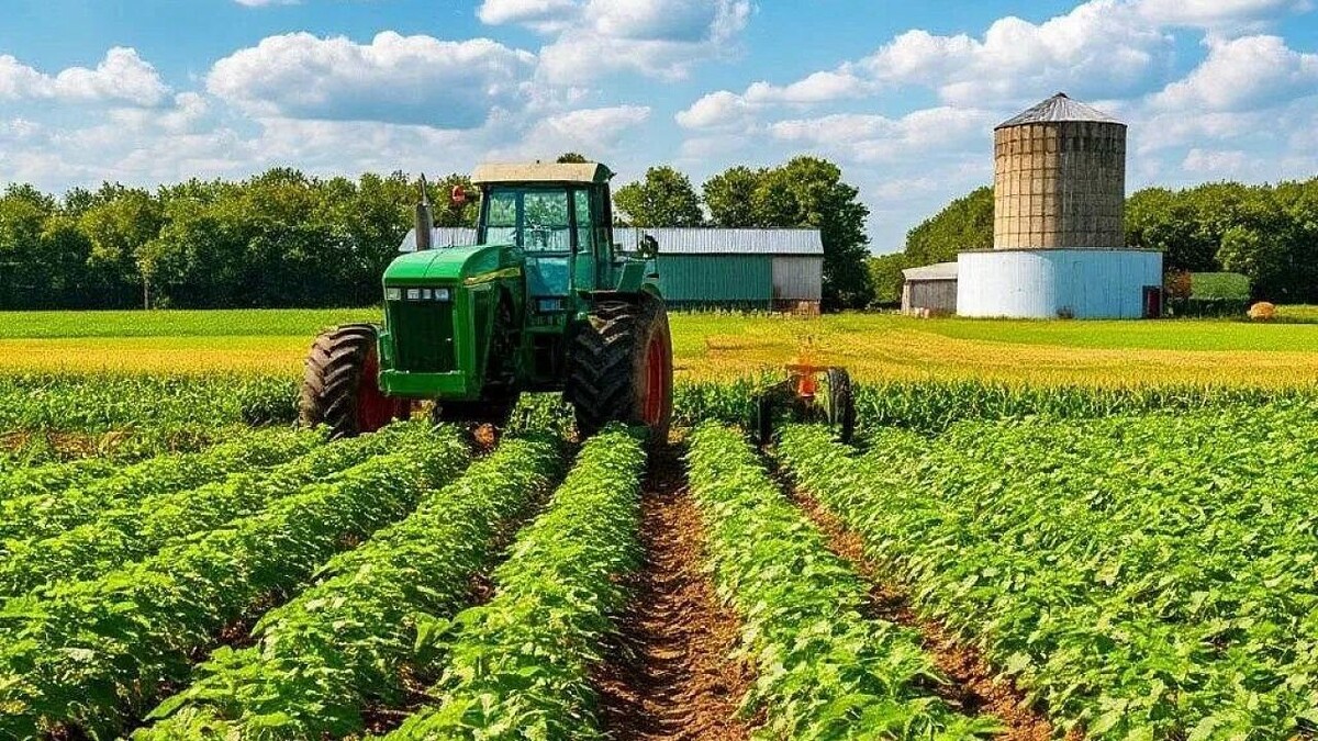    Фото: t.me/admkrai