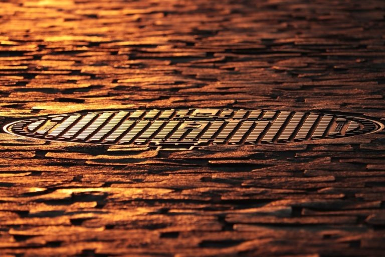    pixabay.com Александра Горохова