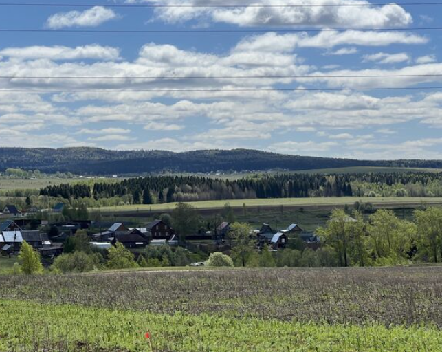 Вид с места - поселок Болдино Лайф