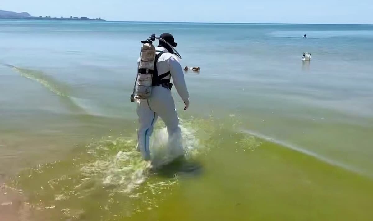    Фото t.me/opershtab23