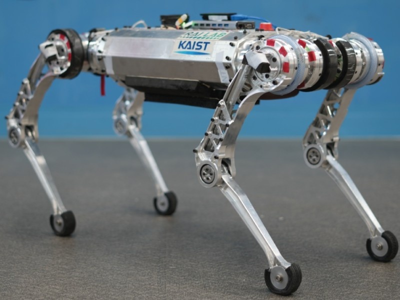    Робот-паркурщик Raibo умеет бегать по стенам и высоко прыгать [ВИДЕО]