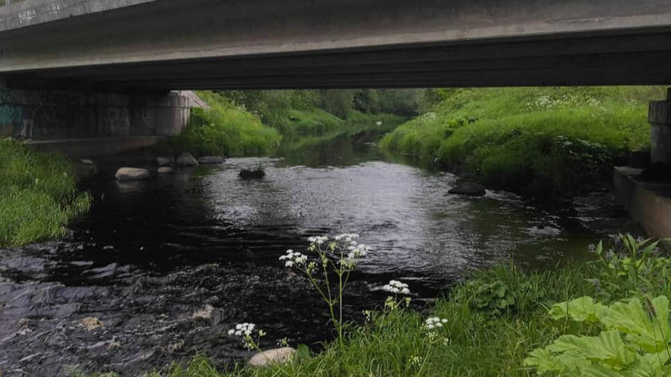 Фото: Эконадзор Ленинградской области