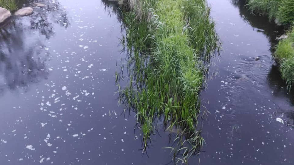 Фото: Эконадзор Ленинградской области