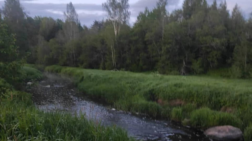 Фото: Эконадзор Ленинградской области