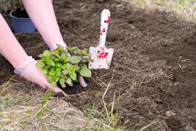 картинка взята из Яндекс. Картинки