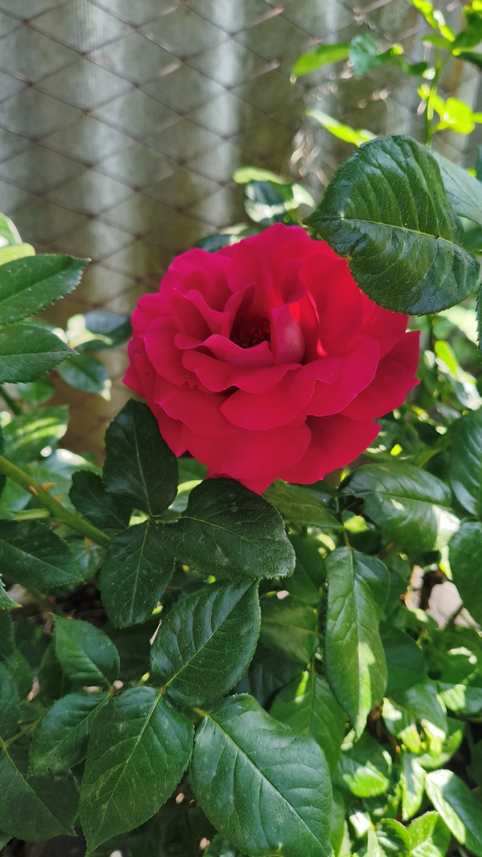 Названия незнаю