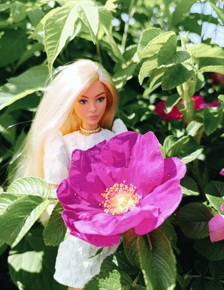 Делина и шиповник 