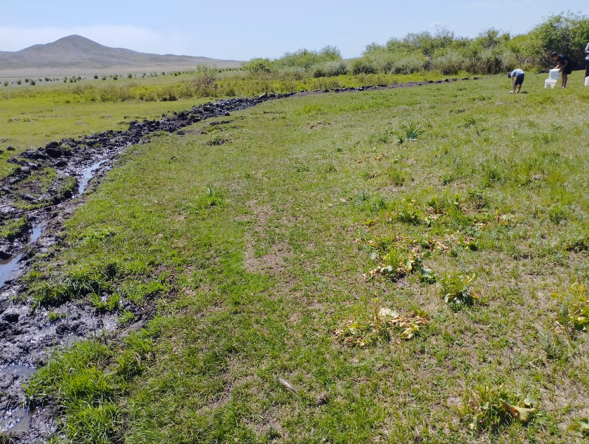 На берегу озера у родника
