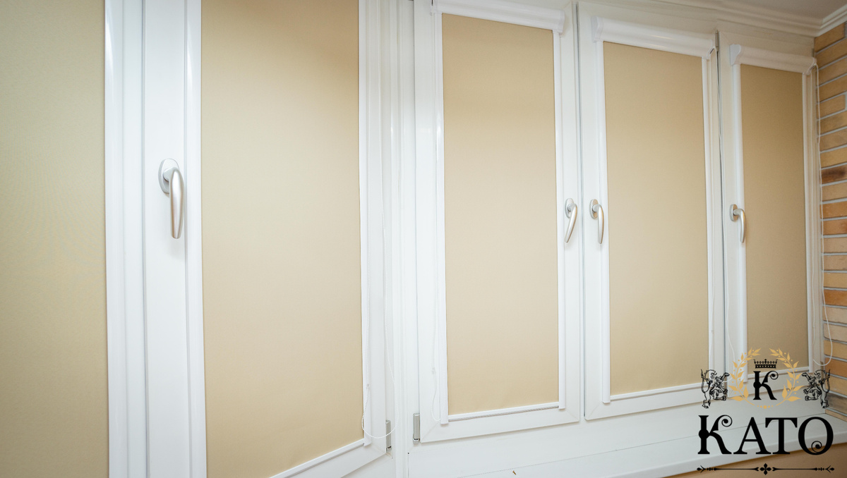 Рулонные шторы для кабинета