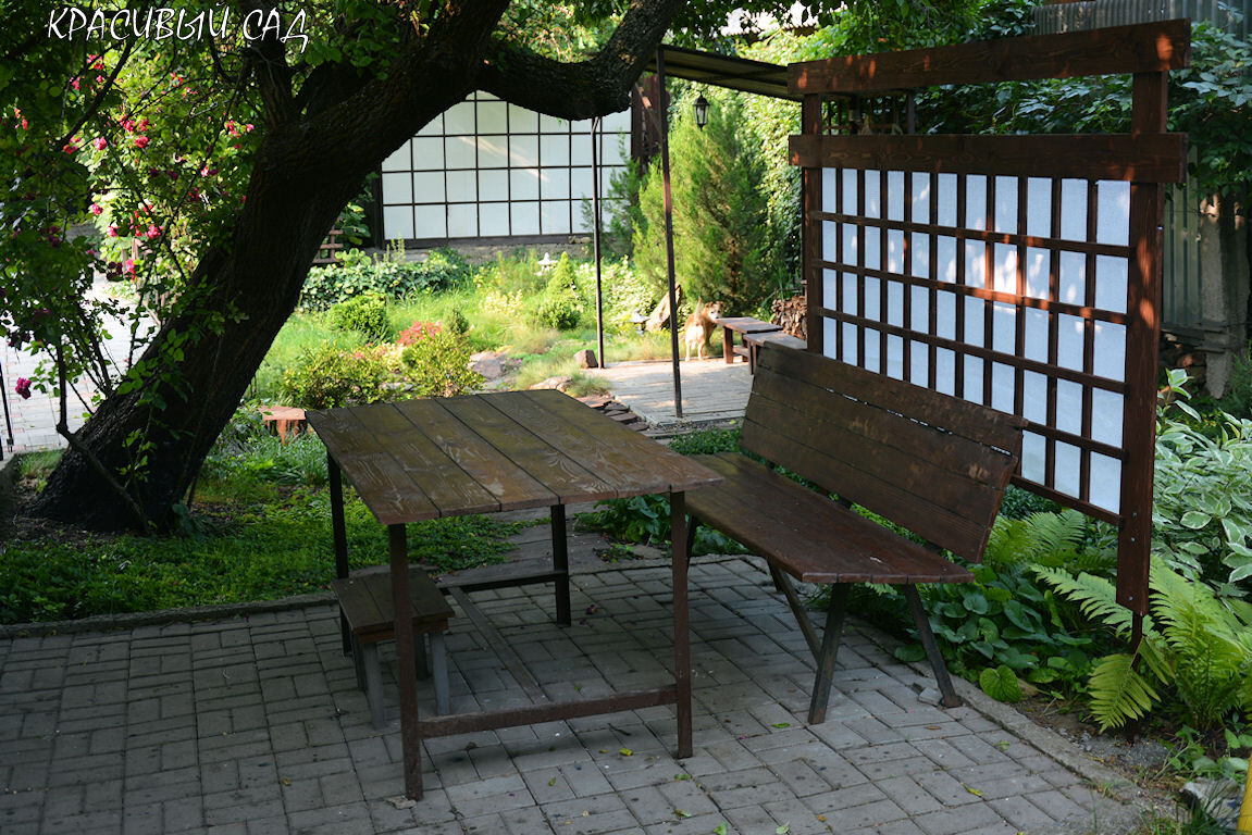 Новая шпалера украсила сад и создала притенение от солнца