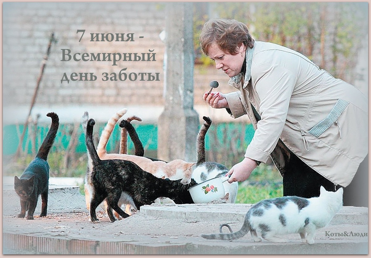 Коллаж автора. Источник фото: flectone.ru