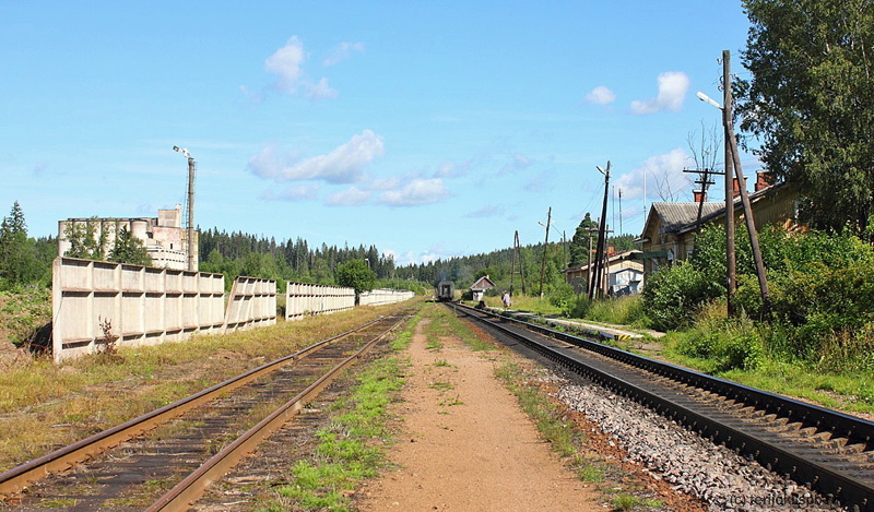Лесогорский. Общий вид станции. Слева на дальнем плане – здание бывшего мельничного комбината. Фото.2012 г.