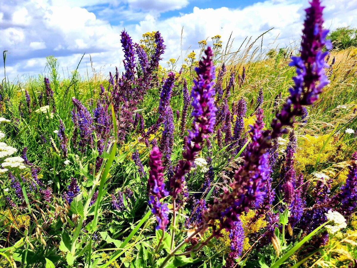 Авторское фото