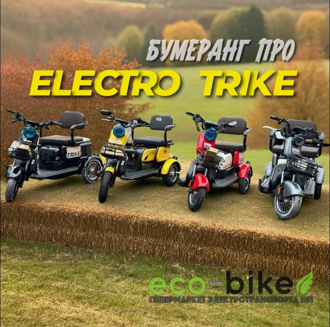 Электротрициклы Бумеранг Про 800w 