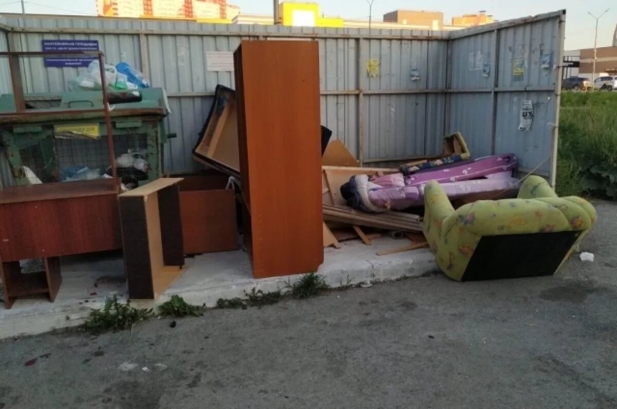    Новосибирцам напомнили правила утилизации старой мебели и сантехники