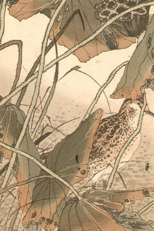 Имао Кейнен. Страницы из сборника «Keinen Gafu», посвященного сезонным растениям и птицам